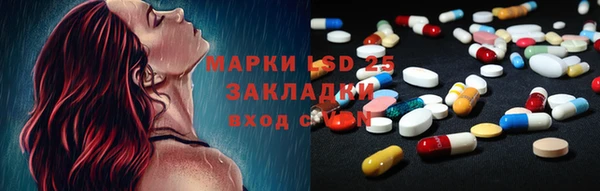 шишки Армянск