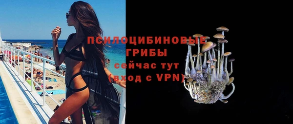 шишки Армянск