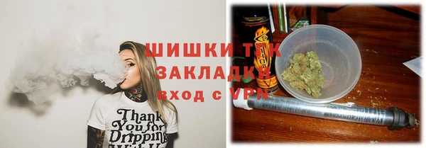 шишки Армянск