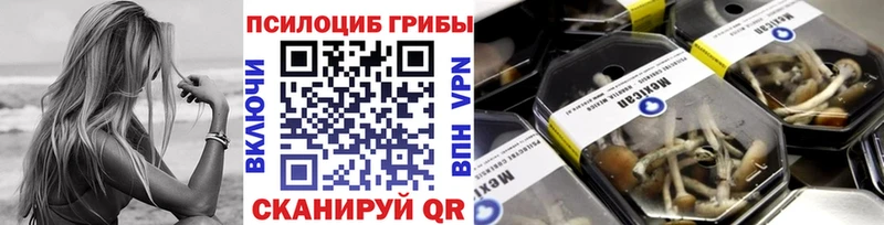 Галлюциногенные грибы MAGIC MUSHROOMS  Белая Холуница 
